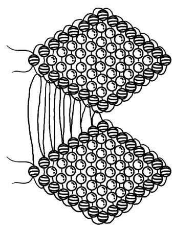 Светлана Хворостухина - Стильная бижутерия своими руками. Бусы, браслеты,...