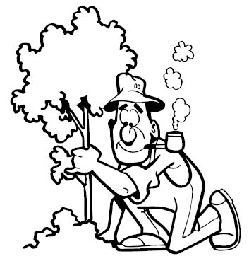 Анна Зорина - Изгороди и заборы своими руками