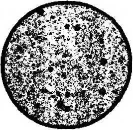 Леонард Сасскинд - Битва при черной дыре. Мое сражение со Стивеном Хокингом за...