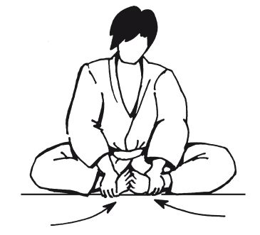 Андрей Григорьев - Боевое айкидо. Философия боя. Система обороны