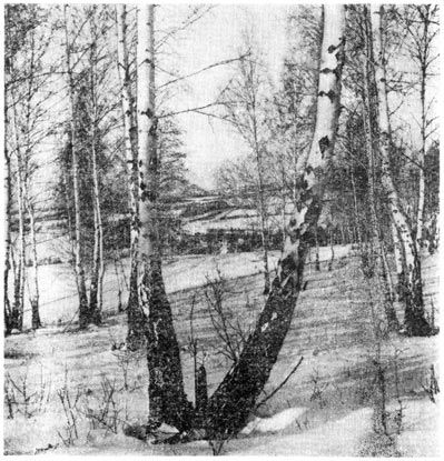 Михаил Величко - Маленькие путешествия вокруг большого города