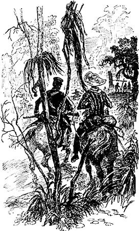 Майн Рид - Оцеола, вождь семинолов