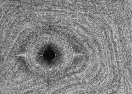 Михаил Ямпольский - Пригов. Очерки художественного номинализма