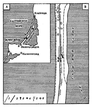 Леонид Соколов - Почему перелетные птицы возвращаются домой