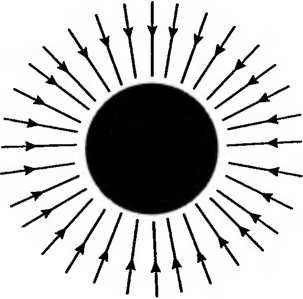 Леонард Сасскинд - Битва при черной дыре. Мое сражение со Стивеном Хокингом за...