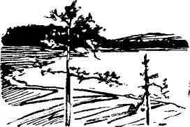 Михаил Аношкин - Человек ищет счастья