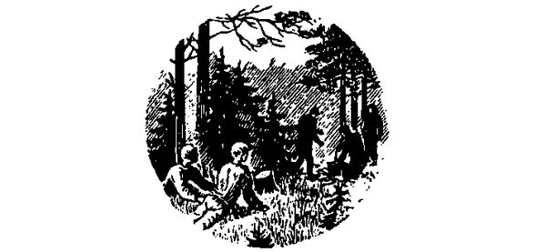 Сергей Мстиславский - Случай в лесу