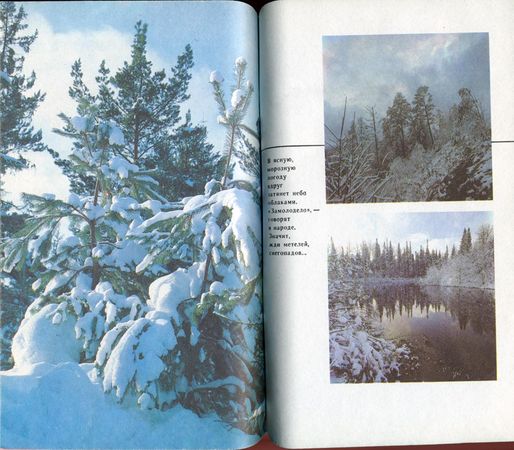 Михаил Величко - Маленькие путешествия вокруг большого города