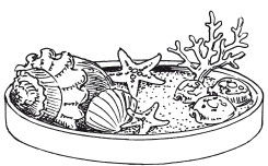 Наталья Дмитриева - Поделки из природных материалов