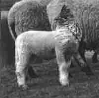 Эрнст Мулдашев - Трагическое послание древних