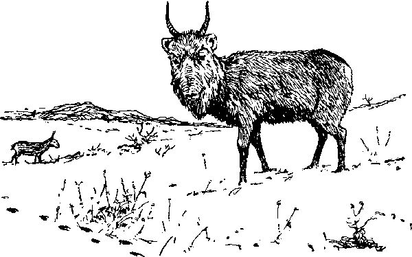 Максим Зверев - По родному краю