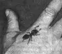 Эрнст Мулдашев - Трагическое послание древних