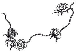 Наталья Дмитриева - Поделки из природных материалов