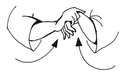 Андрей Григорьев - Боевое айкидо. Философия боя. Система обороны