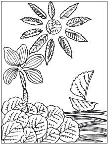 Наталья Дмитриева - Поделки из природных материалов
