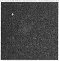 Леонард Сасскинд - Битва при черной дыре. Мое сражение со Стивеном Хокингом за...