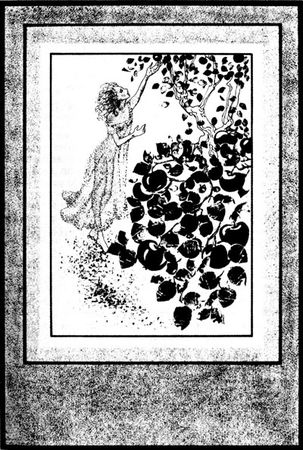 Александр Дюма - Таинственный доктор