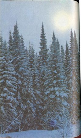 Михаил Величко - Маленькие путешествия вокруг большого города