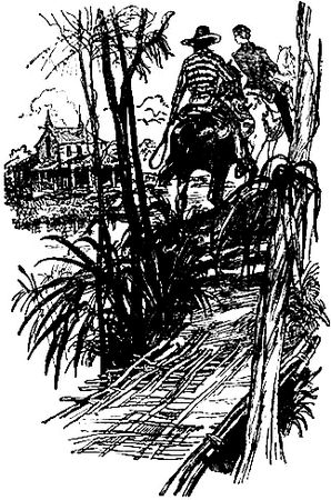 Майн Рид - Оцеола, вождь семинолов