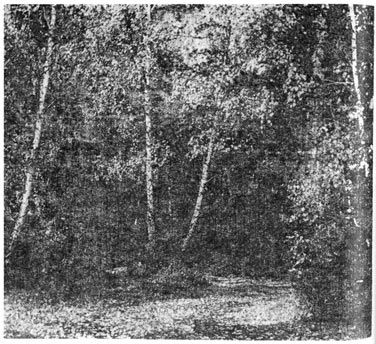 Михаил Величко - Маленькие путешествия вокруг большого города