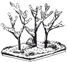 Наталья Дмитриева - Поделки из природных материалов