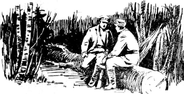 Николай Струтинский - Дорогой бессмертия