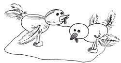 Поделки из природных материалов