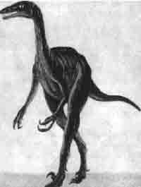 Эрнст Мулдашев - Трагическое послание древних