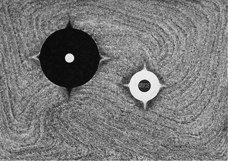 Михаил Ямпольский - Пригов. Очерки художественного номинализма