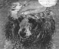 Эрнст Мулдашев - Трагическое послание древних