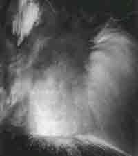 Эрнст Мулдашев - Трагическое послание древних