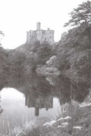 Александр Волков - Музыка в камне. История Англии через архитектуру