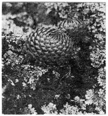 Михаил Величко - Маленькие путешествия вокруг большого города