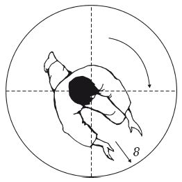 Андрей Григорьев - Боевое айкидо. Философия боя. Система обороны