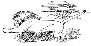 Бернгард Гржимек - Среди животных Африки