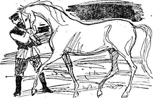 Николай Анов - Гибель Светлейшего