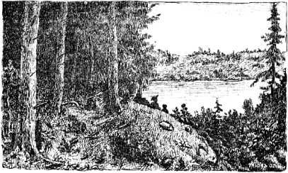 Сергей Минцлов - Клад