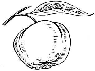 Ольга Веселовская - А свадьба пела и плясала...