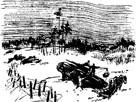 Сергей Воронин - На своей земле