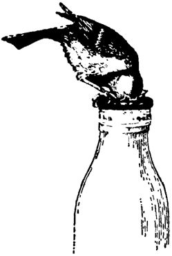 Игорь Акимушкин - Причуды природы