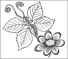 Наталья Дмитриева - Поделки из природных материалов