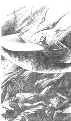 Жозеф Рони-старший - Конец Земли