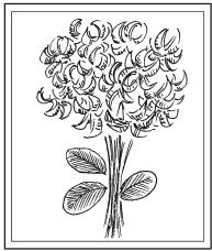 Наталья Дмитриева - Поделки из природных материалов