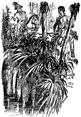 Майн Рид - Оцеола, вождь семинолов