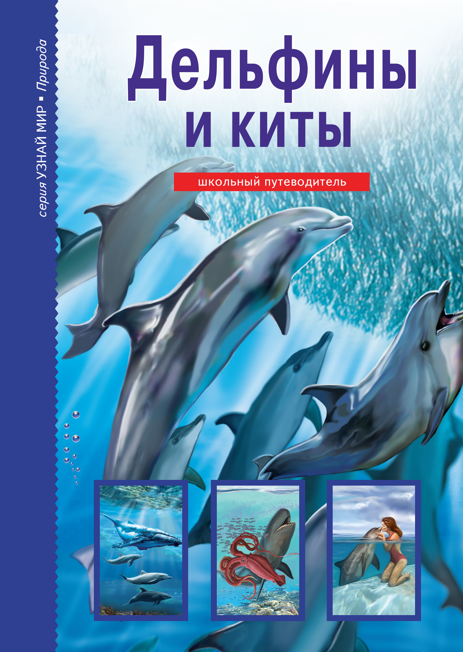 читать Дельфины и киты