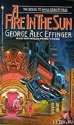 читать A Fire in the Sun