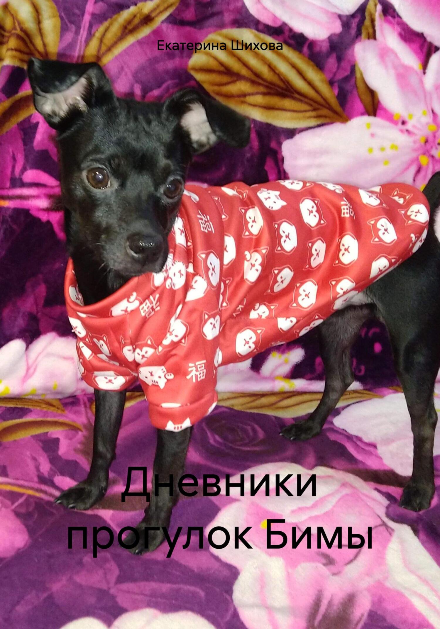 читать Дневники прогулок Бимы