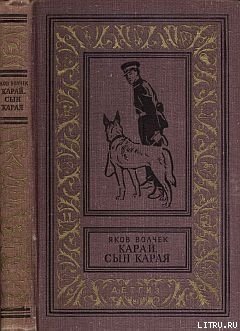 читать Сын Карая