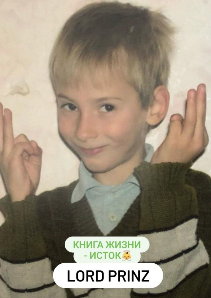 читать Lord Prinz: книга Жизни – Исток
