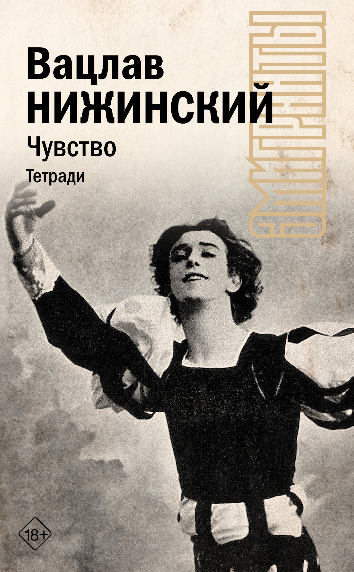 читать Чувство. Тетради